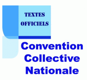 logo CCN